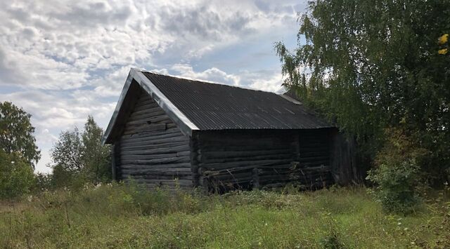 д Угоры 150 фото