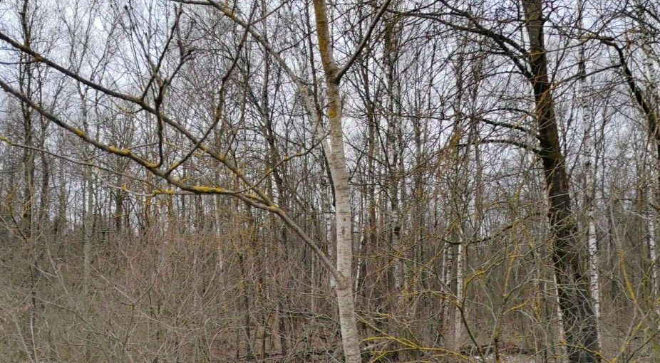 офис городской округ Чехов д Ваулово фото 1
