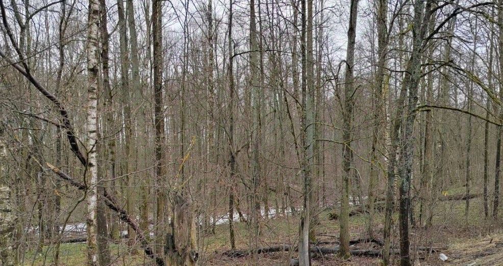 офис городской округ Чехов д Ваулово фото 2