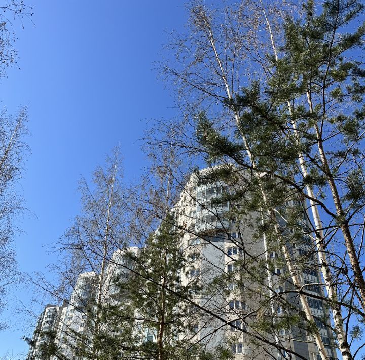 комната г Санкт-Петербург метро Академическая пр-кт Гражданский 36 округ Академическое фото 32