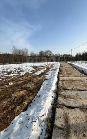 земля деревня Мальгино Подлесный сельсовет фото