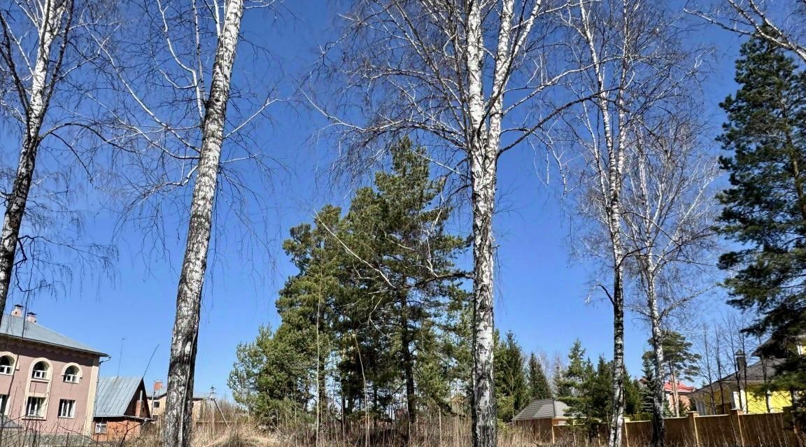 земля г Бердск ул Виноградная 2 фото 1