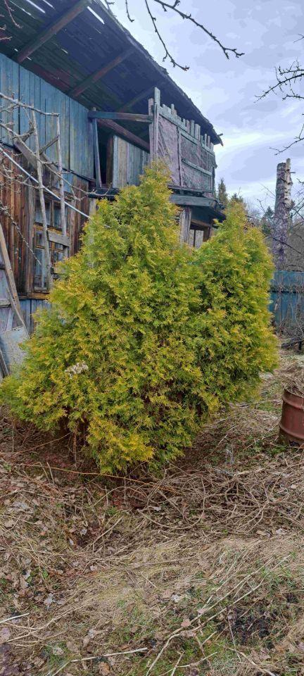 дом городской округ Одинцовский г Голицыно Нижняя улица, СНТ «Маяк» фото 28