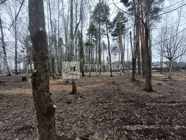 ул Ясеневая 3 фото