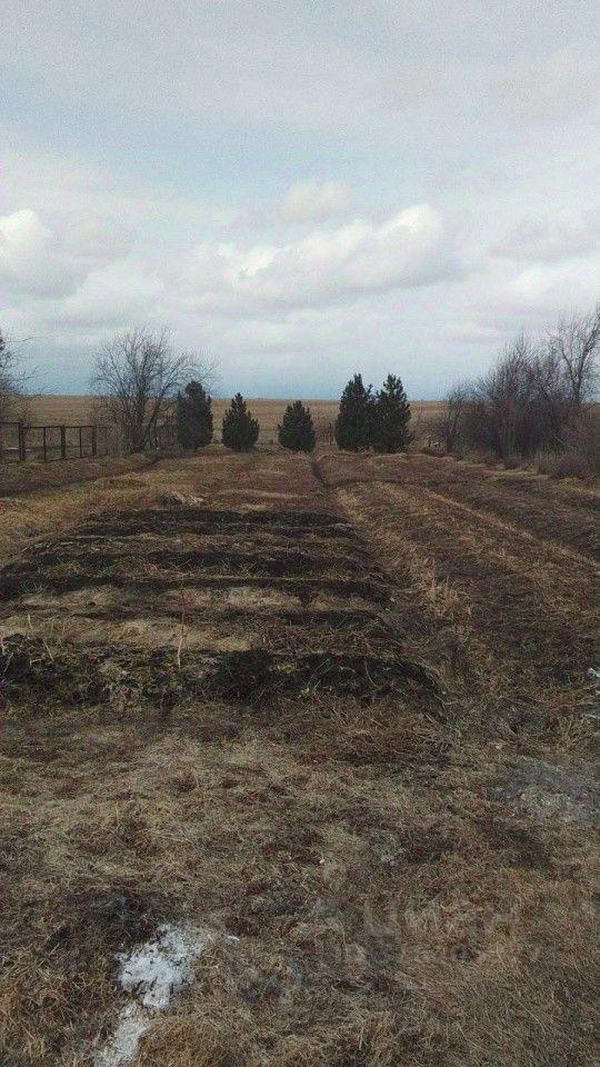 дом г Среднеуральск р-н Западный управленческий округ ул Свободы 35 Дружининское городское поселение, р-н Нижнесергинский, Дружинино фото 4
