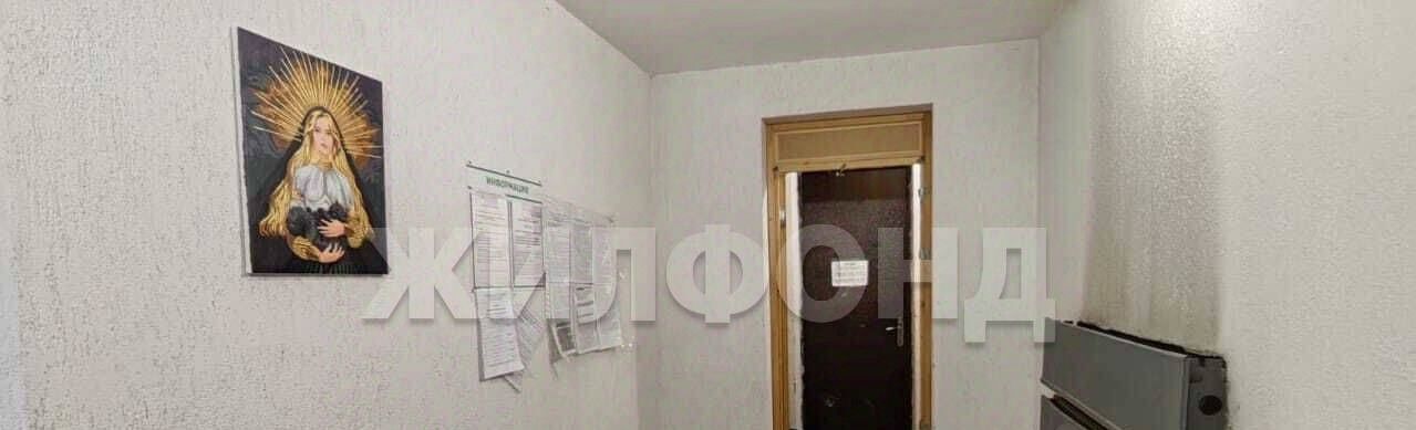 квартира г Новосибирск ул Николая Грицюка 1/4 Площадь Маркса фото 12
