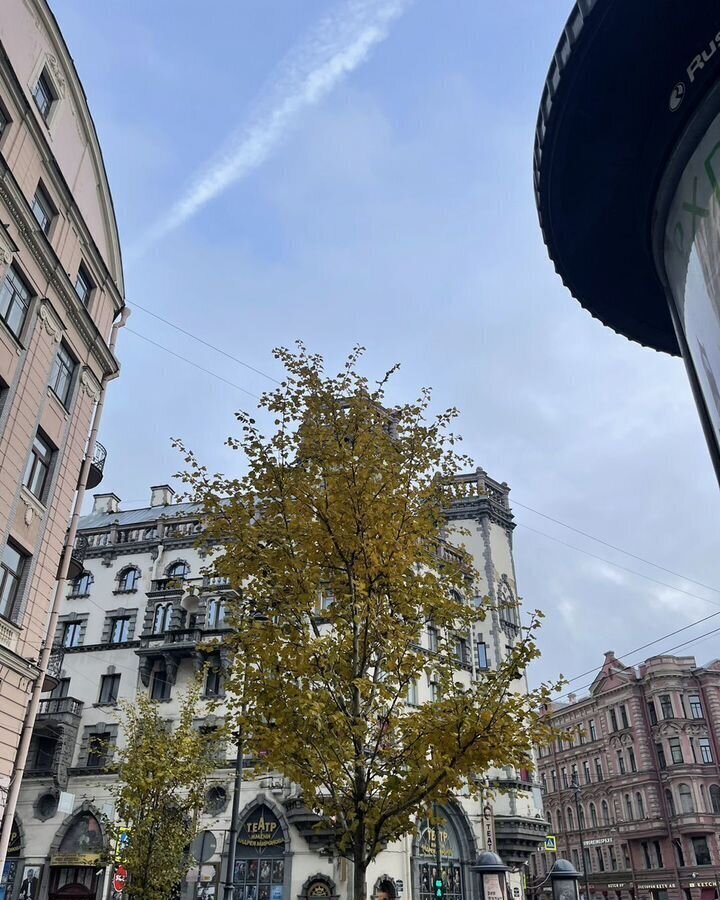 комната г Санкт-Петербург метро Петроградская Большой пр-т Петроградской стороны, 98 фото 33