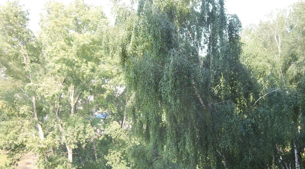 квартира г Ижевск р-н Устиновский ул Автозаводская 56 фото 4