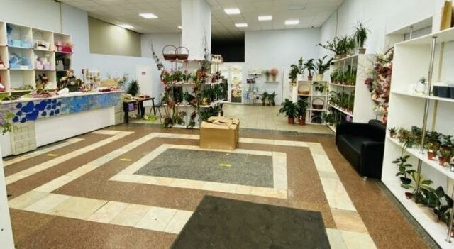 Парк культуры ул Плотникова 4 фото