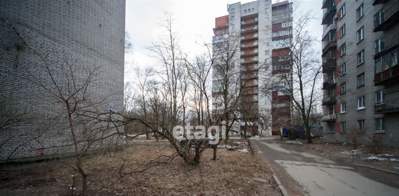 квартира г Санкт-Петербург метро Политехническая пр-кт Тихорецкий 11к/3 округ Академическое фото 20