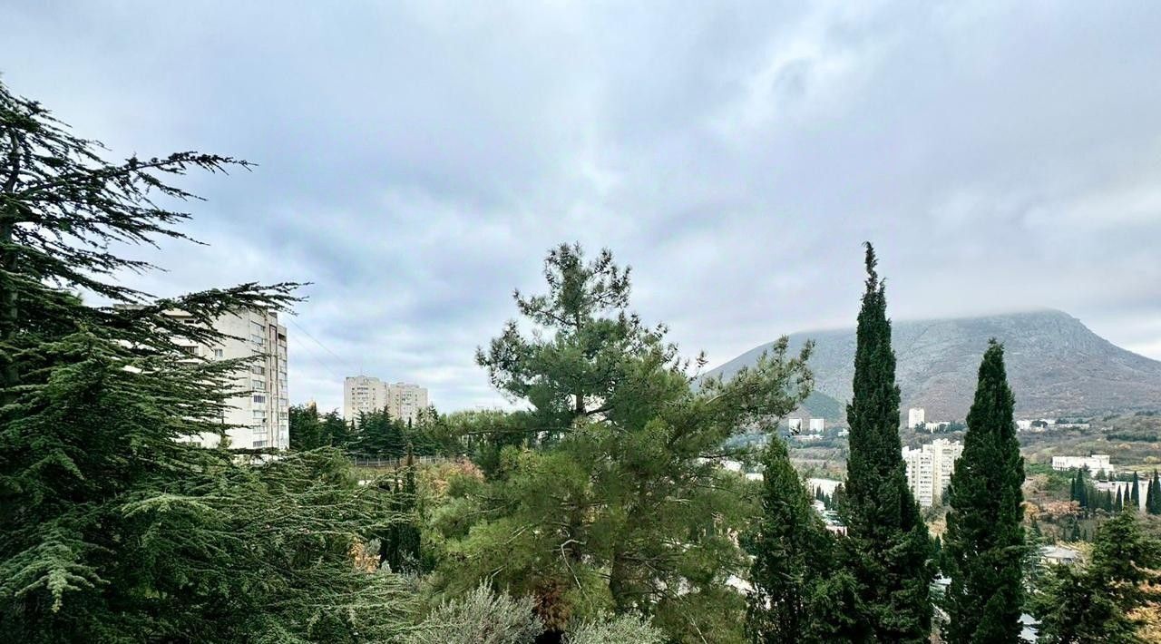 квартира г Алушта пгт Партенит ул Фрунзенское шоссе 11а фото 4