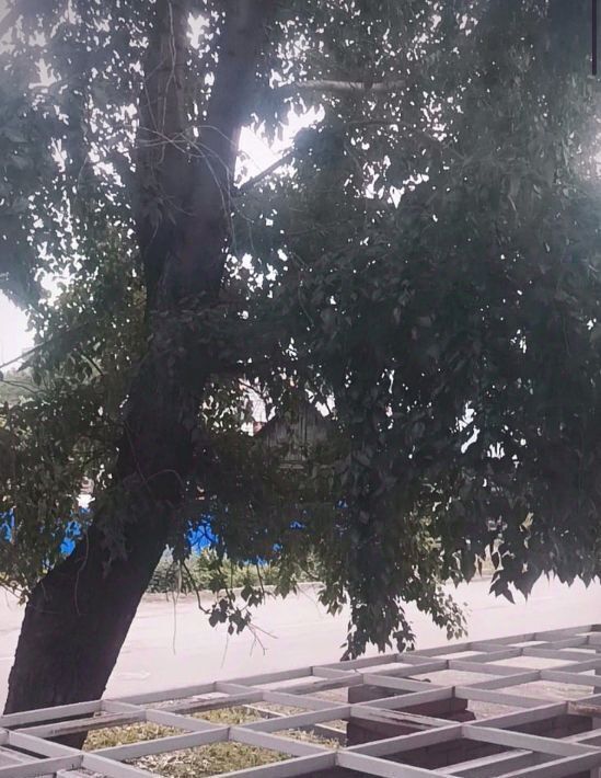 дом г Томск р-н Ленинский Черемошники ул Пролетарская 9а фото 19