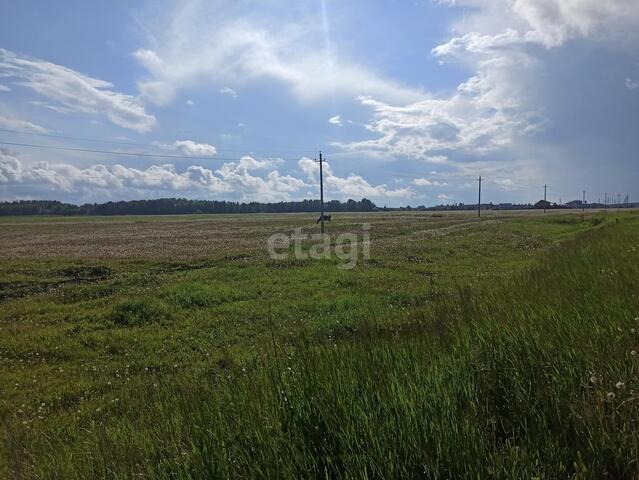 Родонитовая, Екатеринбург фото