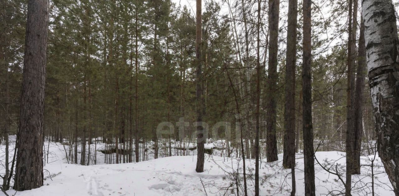 земля г Тюмень р-н Восточный Войновка фото 31