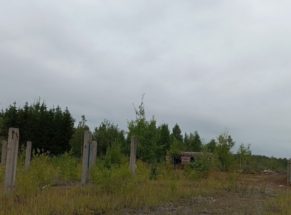 офис г Красноуральск фото 3