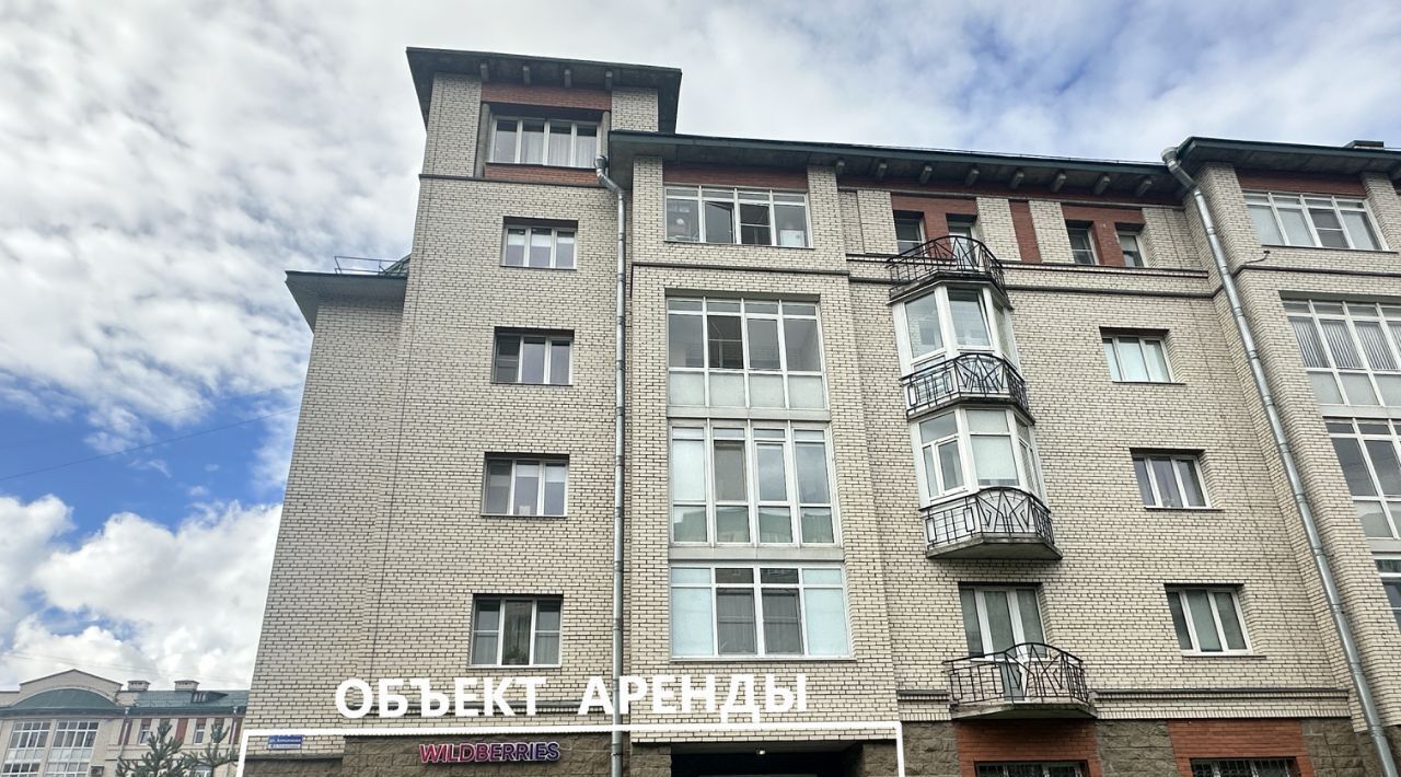 свободного назначения г Колпино ул Анисимова 5к/2 Шушары фото 3