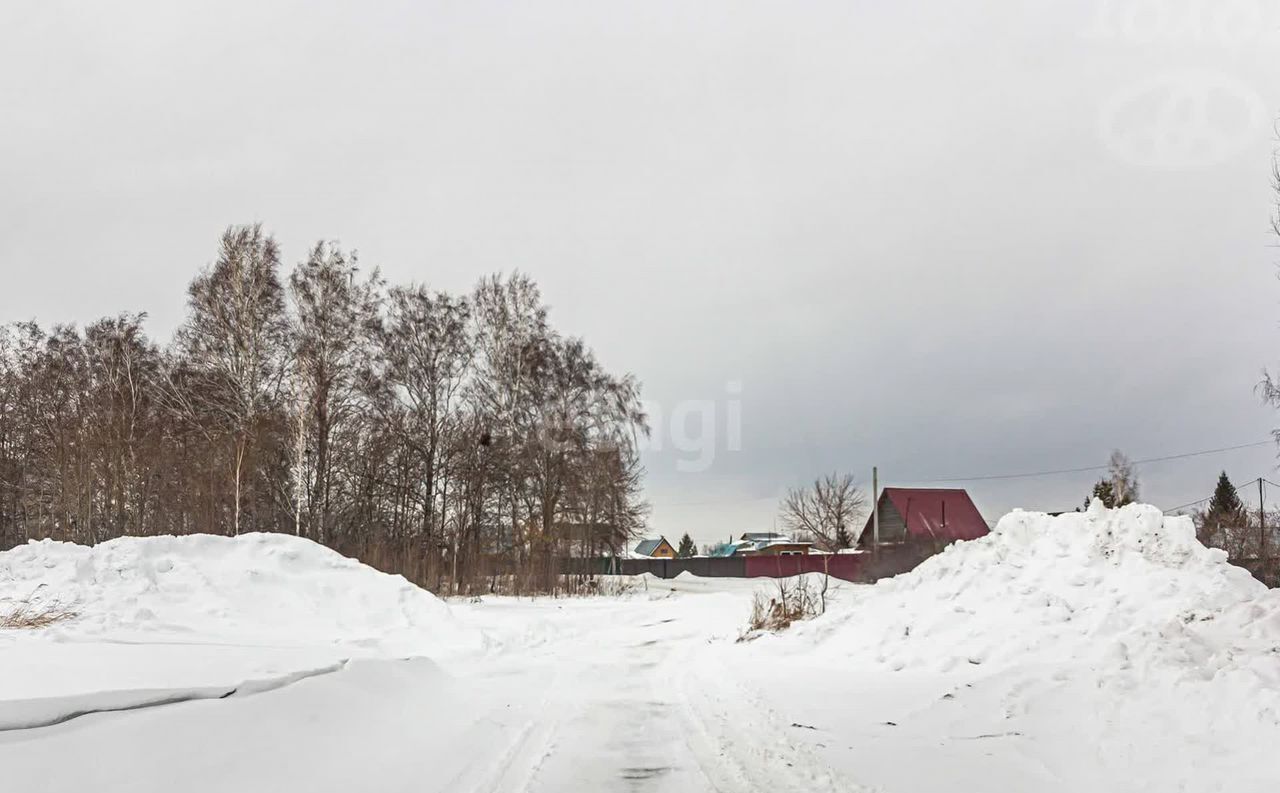 земля г Бердск снт Марьин Лог Бердское шоссе, 7 км фото 13