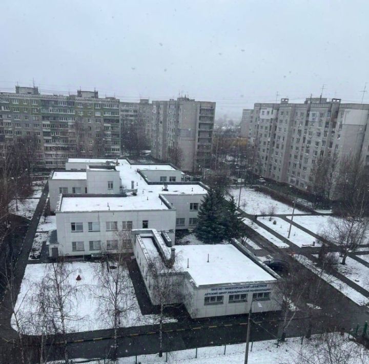 квартира г Нижний Новгород Пролетарская Северный ул Львовская 19 жилрайон фото 20