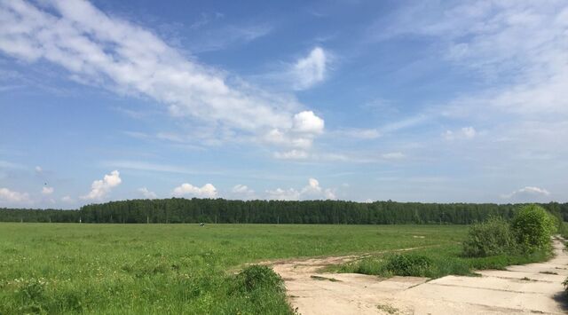 городской округ Раменский д Панино фото