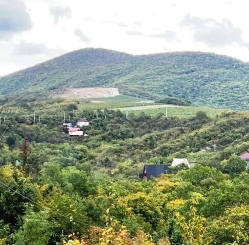 снт Прибой ТСН, 139 фото