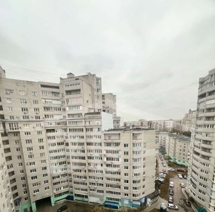 квартира г Воронеж р-н Коминтерновский пр-кт Московский 110е фото 11