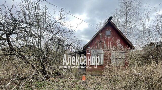 проезд Коллективный 33 Шушары, Сад № 2 ВИР СНТ, Пушкин фото
