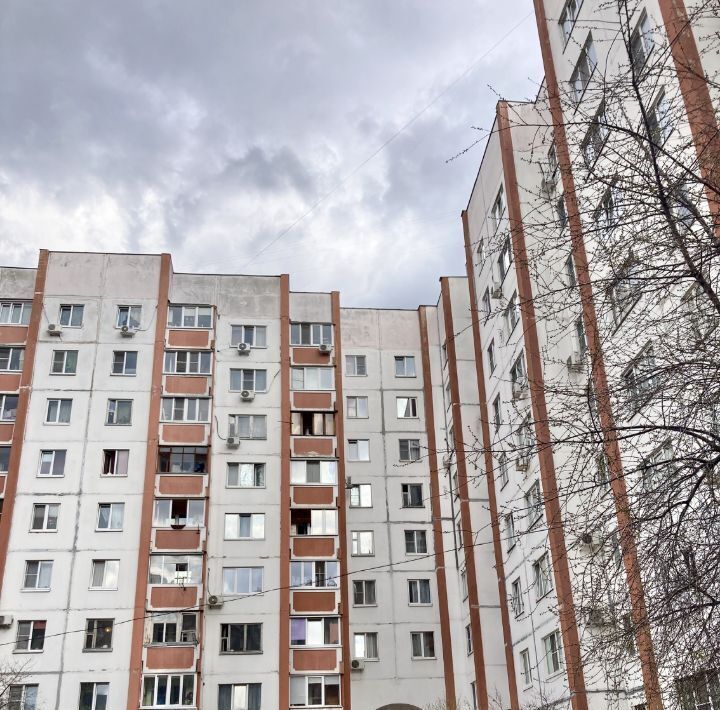 квартира г Воронеж р-н Левобережный ул Димитрова 142 фото 12