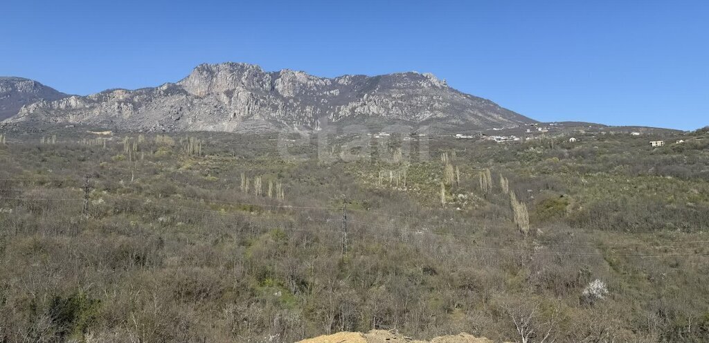 земля г Алушта с Лучистое ул Грушевая фото 4