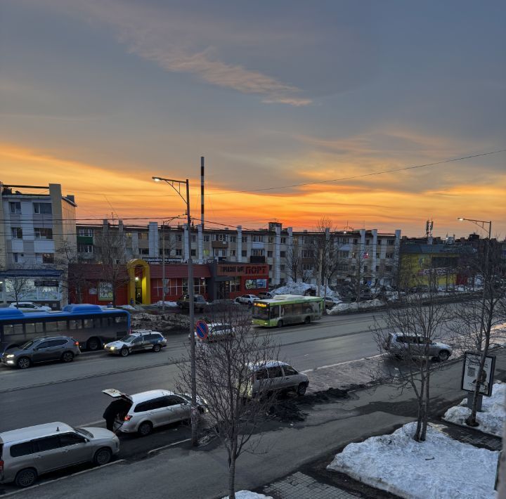 квартира г Петропавловск-Камчатский ул Тушканова 2 фото 34