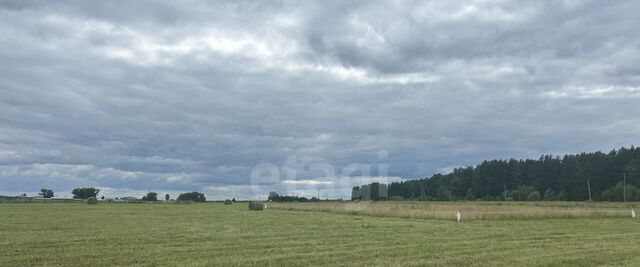 р-н Тагилстроевский ул 2-я Самоцветная 3 фото