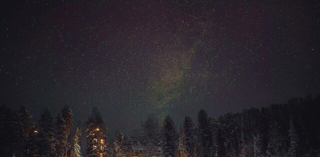 ул Телецкая фото