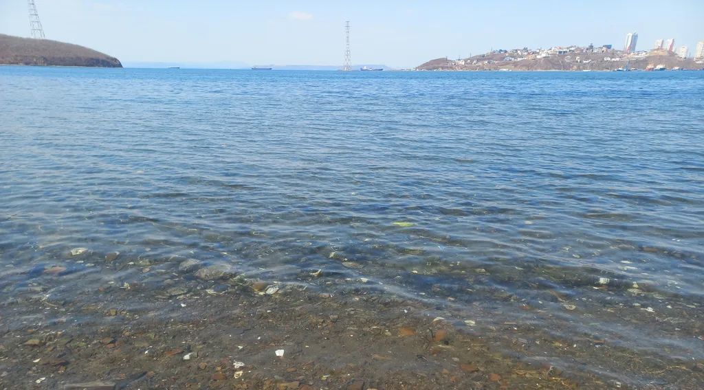 дом г Владивосток п Канал Русский 20 фото 22