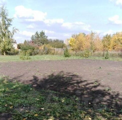 снт Факел Камышловское с/пос, Любинский район фото