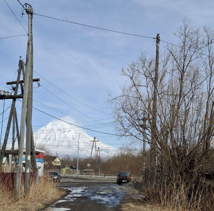 дом р-н Елизовский г Елизово ул Торговая фото 3