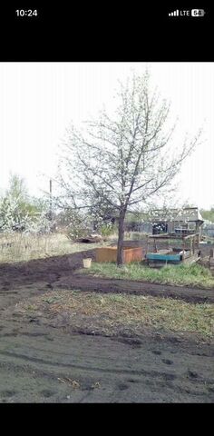 дом садоводство Ёлочка, 96 фото
