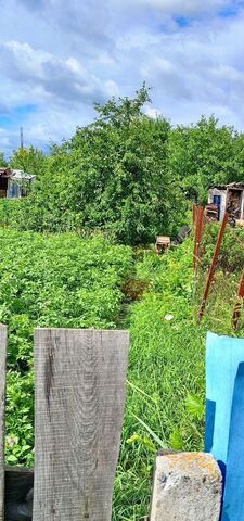 земля снт Речной р-н Западный, 280, Миасский г. о. фото