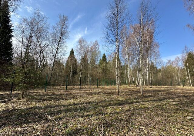 26 км, г. о. Домодедово, Новокаширское шоссе фото