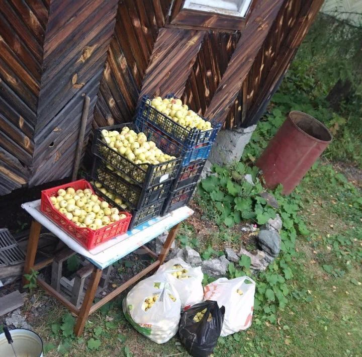 дом г Екатеринбург Геологическая снт Городского управления торговли фото 2