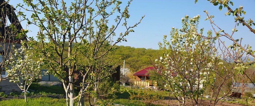 земля г Находка снт Родничок ул Садовая 7 фото 9