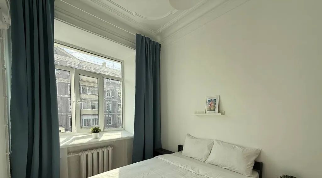 комната г Москва метро Парк культуры проезд Зубовский 2к/2 фото 2