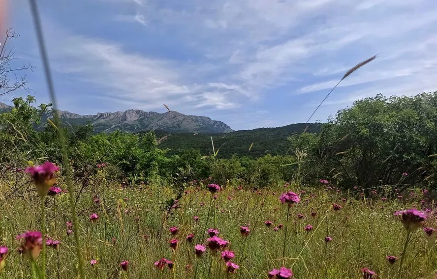 дом г Алушта с Малореченское ул Весенняя 10 фото 20