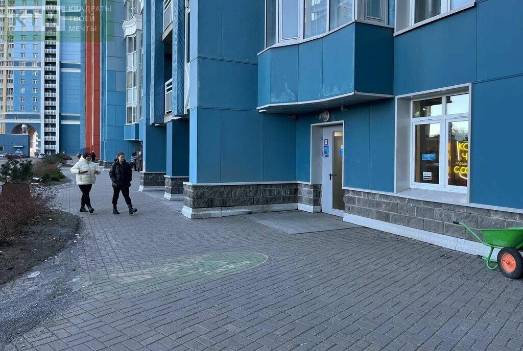 свободного назначения г Санкт-Петербург метро Проспект Просвещения пр-кт Просвещения 43 фото 1