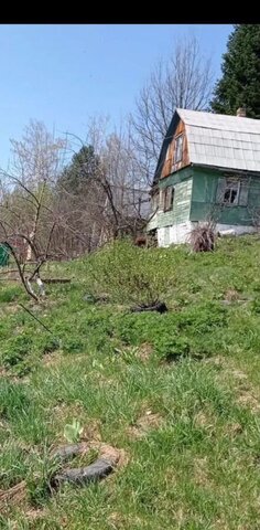 снт Металлург-4 Кемеровская обл. — Кузбасс, Новокузнецк фото