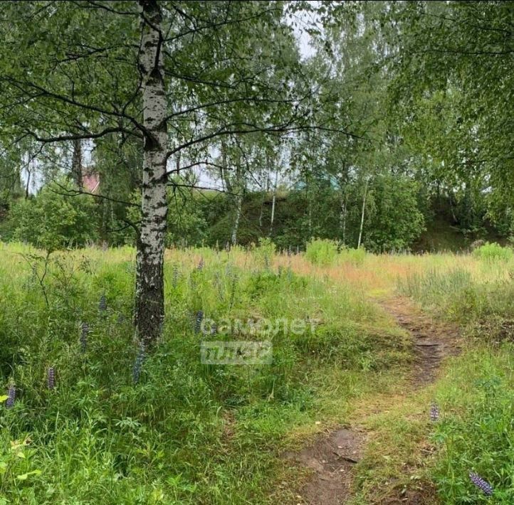 дом г Бор д Никольское (Кантауровский с/с) 12 уч 2 фото 9