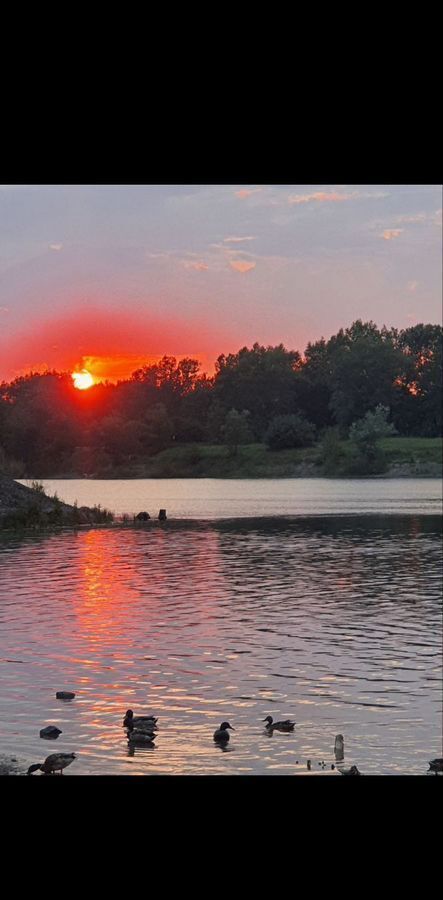 квартира г Красноярск р-н Свердловский наб Ярыгинская 19а фото 11