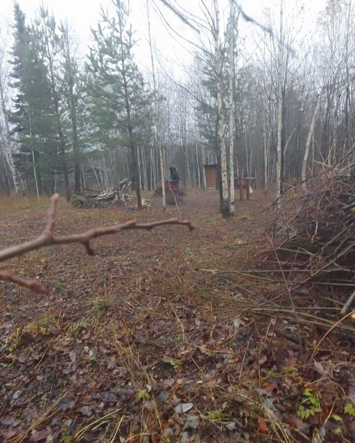 земля г Ревда снт Заря-2 фото 1