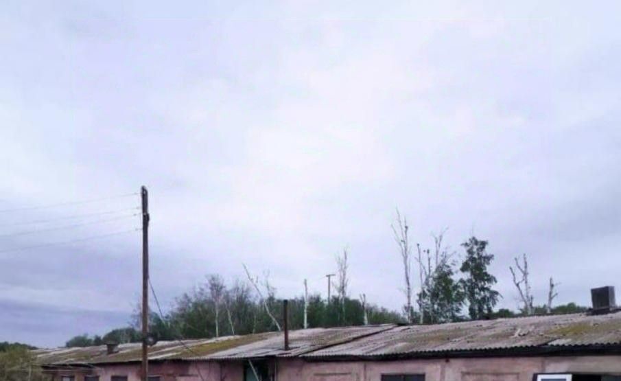офис г Омск п Большие Поля ул Молодежная 2 р-н Советский фото 1
