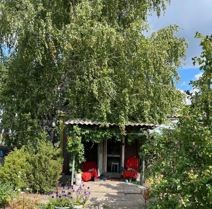 дом г Омск снт Здоровье Дружинское с/пос, 895, Омский район фото 17