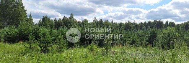 с Курганово Горный Щит фото