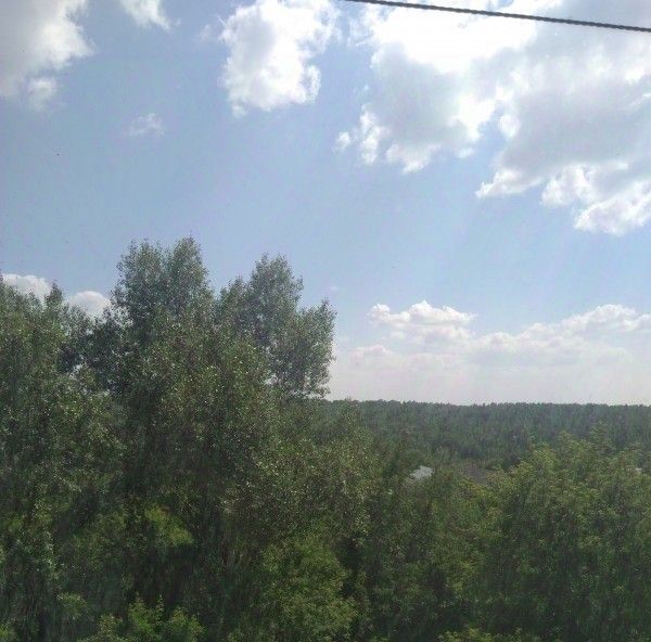 квартира г Новосибирск Речной вокзал ул Рябиновая 10/1 фото 3